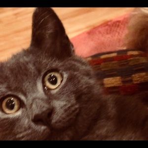 Meet your Posher, Amber